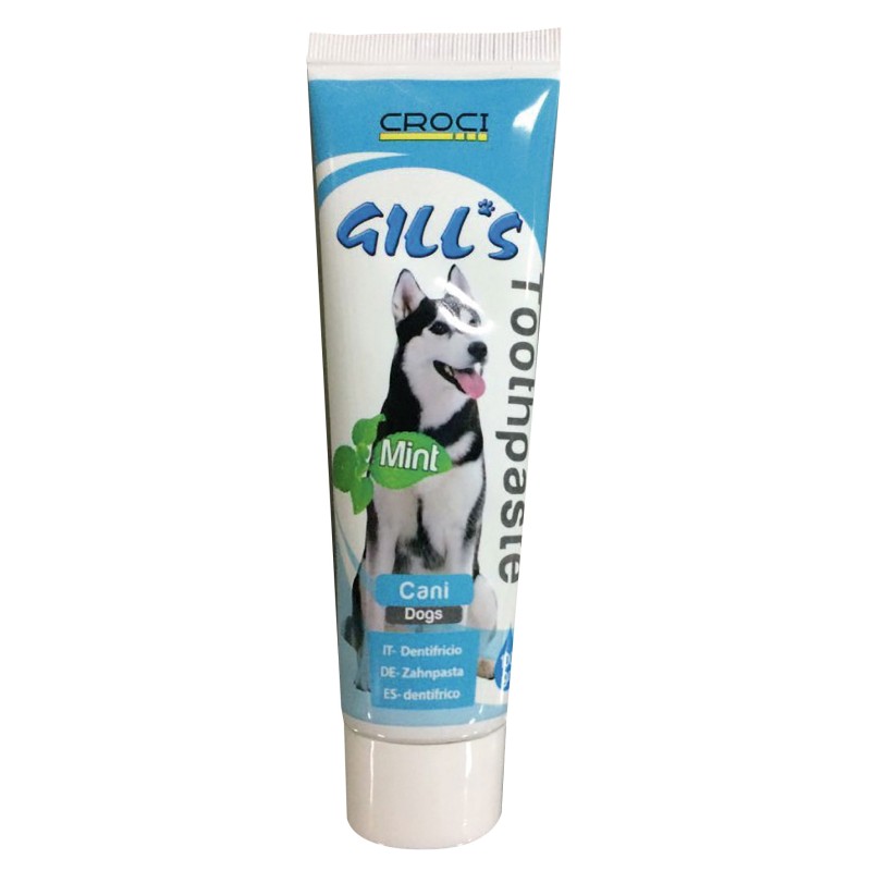 GILL'S MINT TOOTHPASTE