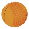 SPORT BALL COLOR LATTICE