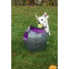 PETSAFE AUTOMATIC BALL LAUNCHER