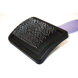 BROSSE CARDE PIN GEL