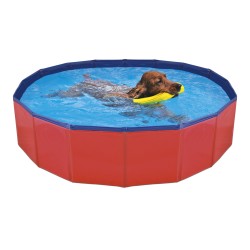 PISCINA PER CANI