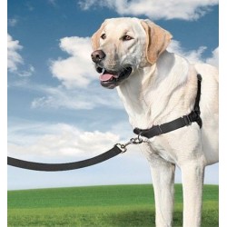 EASY WALK HARNESS