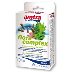 CAPSULES AMTRA FLORA COMPLEX