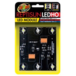 MODULE LED REPTILE