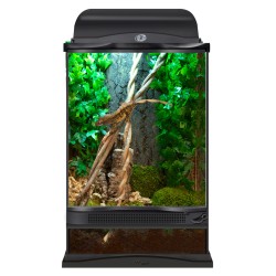 TERRARIUM ZOOMED NT