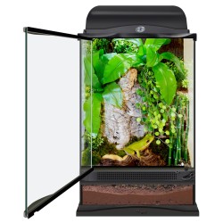 ZOOMED TERRARIUM NT