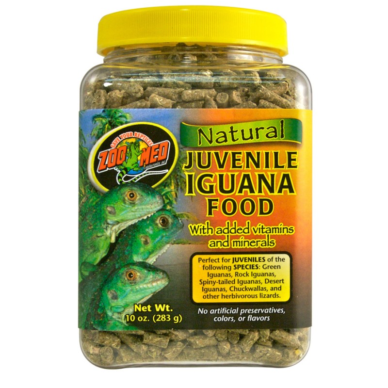 YOUNG IGUANA FOOD