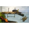 ISOLA TURTLE DOCK