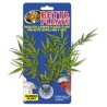 PLANTE BAMBOU POUR BETTA 