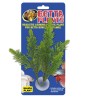 PLANTE SAUGE POUR BETTA