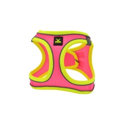 X-TRM NEON HARNESS