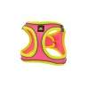 X-TRM NEON HARNESS