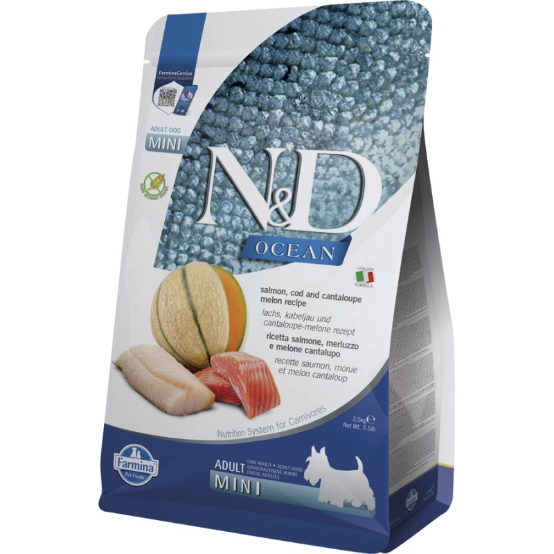 ND DOG OCEAN LACHS COD CANTALOU ADULT MINI