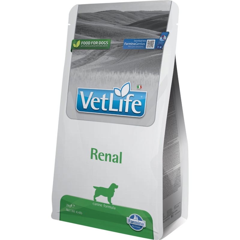 VET LIFE NATURAL DIET DOG HYPOALLERGENIC FISH  POTATO