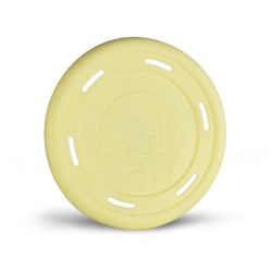 FRISBEE 25CM