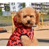 CHAQUETA CON CAPUCHA RED LEOPARD