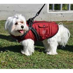 CHAQUETA CON ARNES ROJO